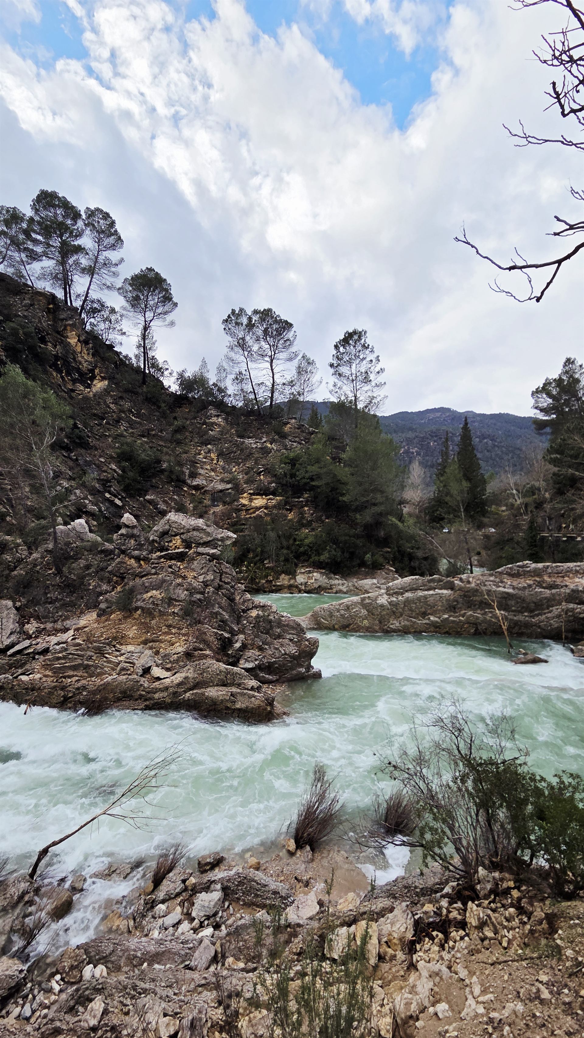 Río Borosa