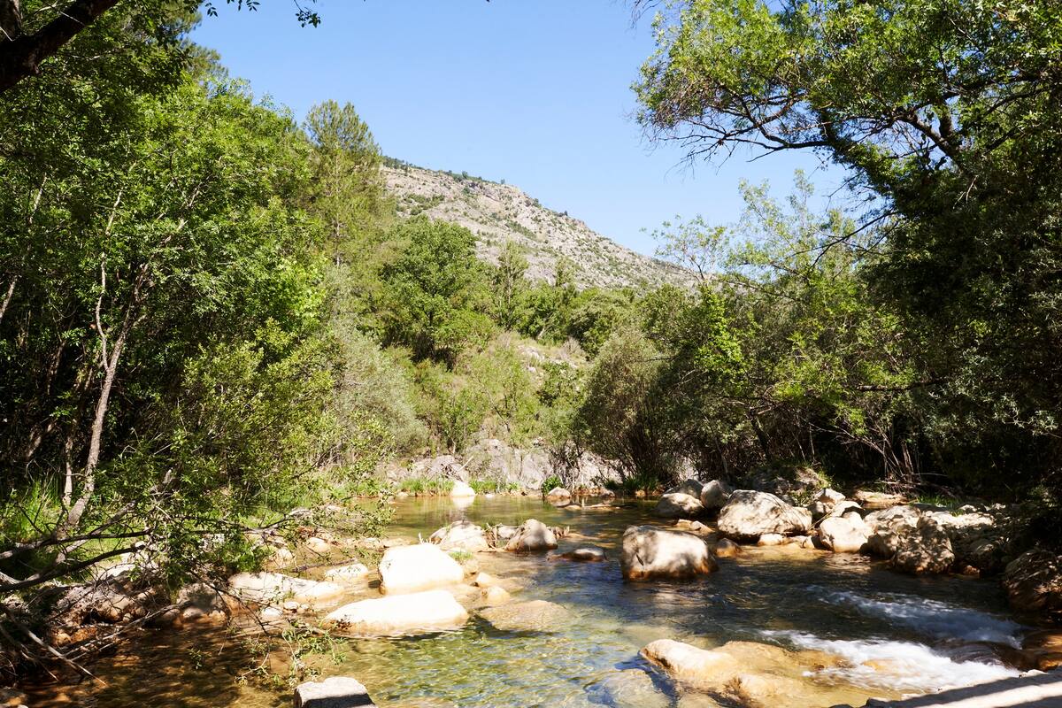 Río en el parque